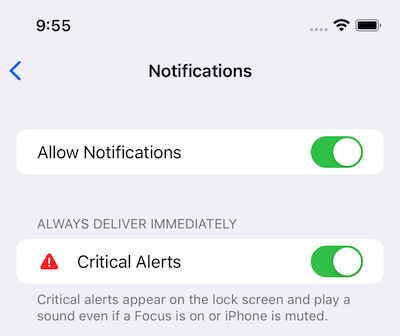 Critical Alerts in Notifications settings